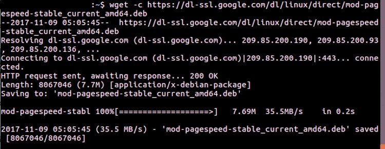 Cara Install Mod PageSpeed Di Linux Server 02 - www.dedyprastyo.com