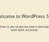 Hore WordPress 5.5 Sudah Rilis